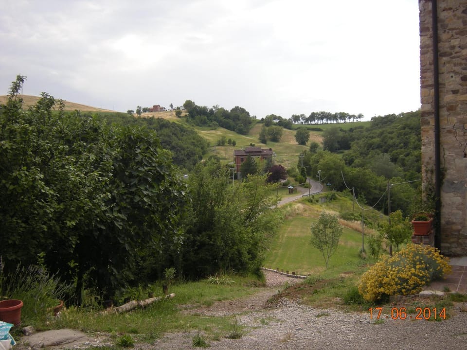 View (from property/room)