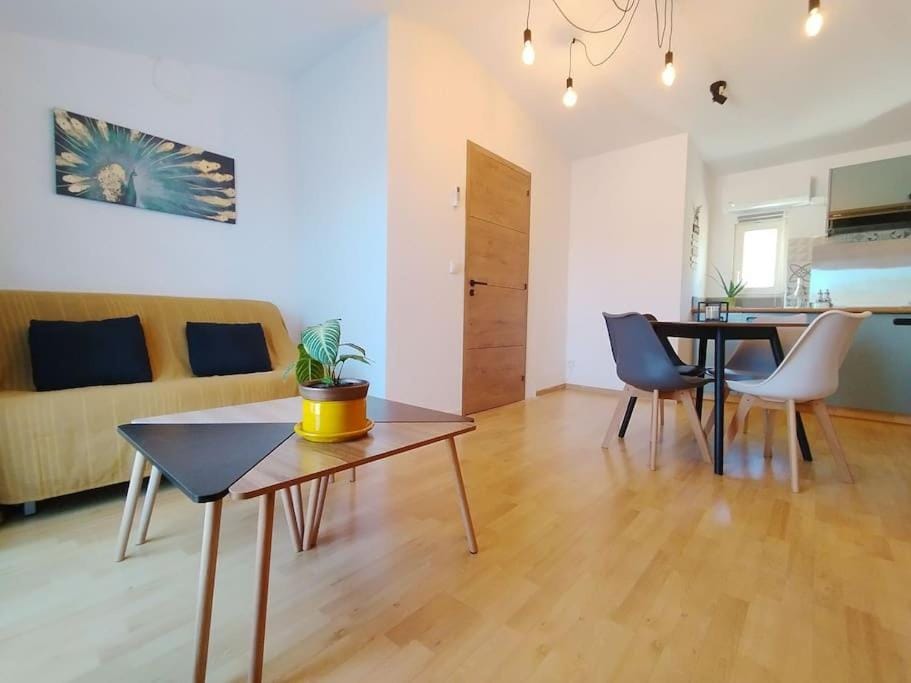 Le Petit d'Aquí appartement d'hôtes - 15 minutes de la mer Apartment in Occitanie