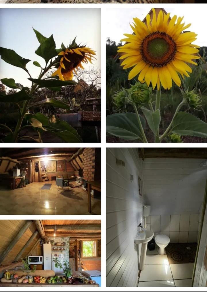 Toca das Sementes Country House in State of Santa Catarina