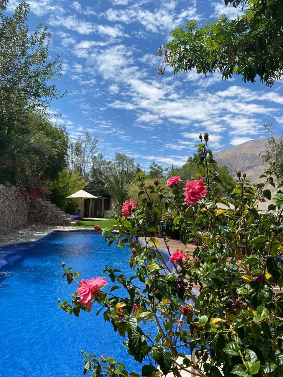Pool view, Swimming pool