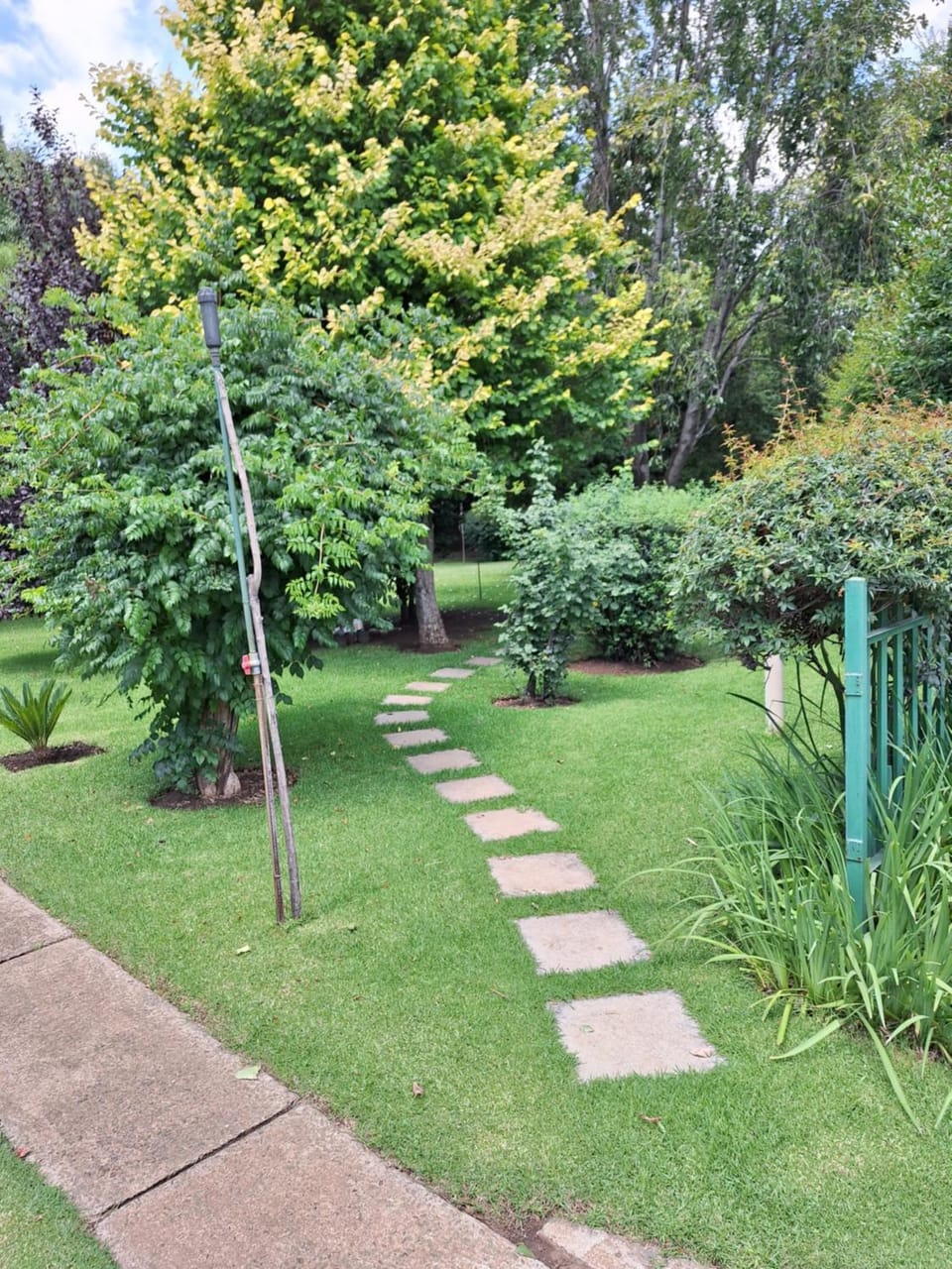 Garden view