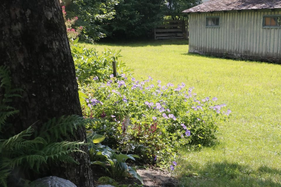 Garden view