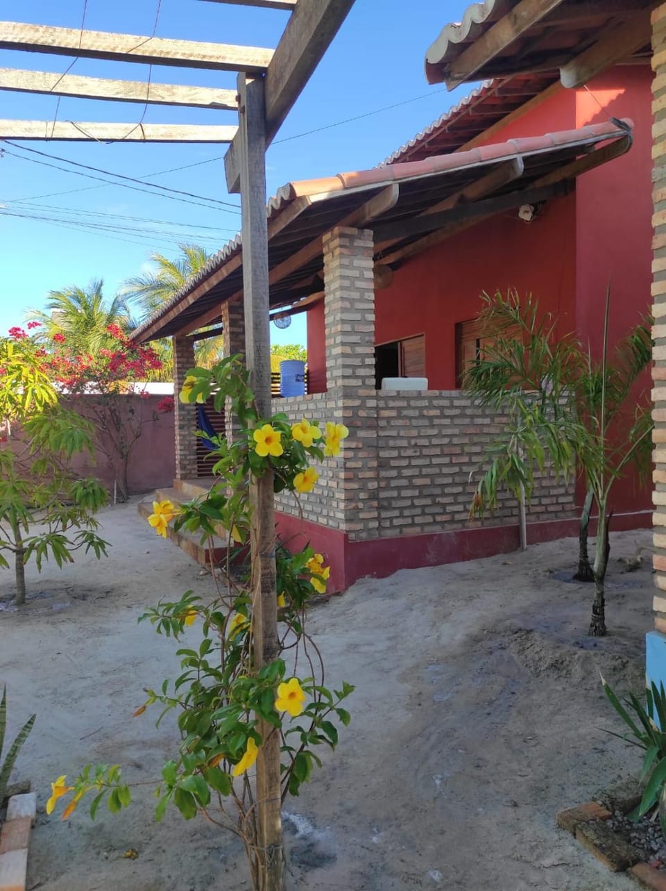 Day, Garden