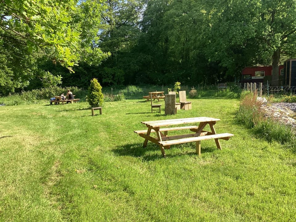 Spring, Day, Natural landscape, Garden, Garden view