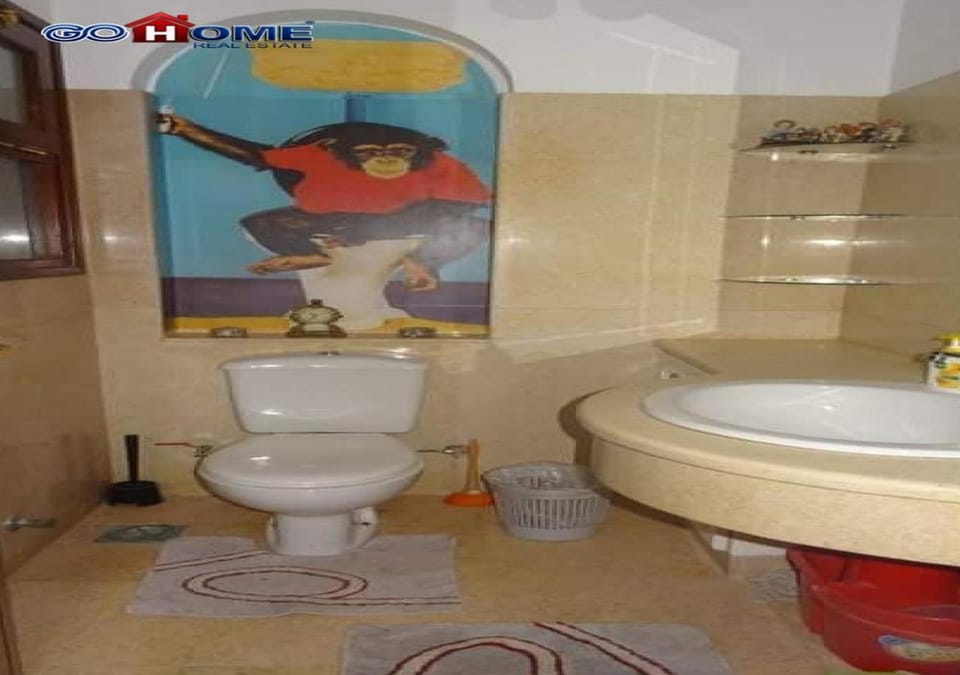 Toilet, Bathroom, Bath, bidet