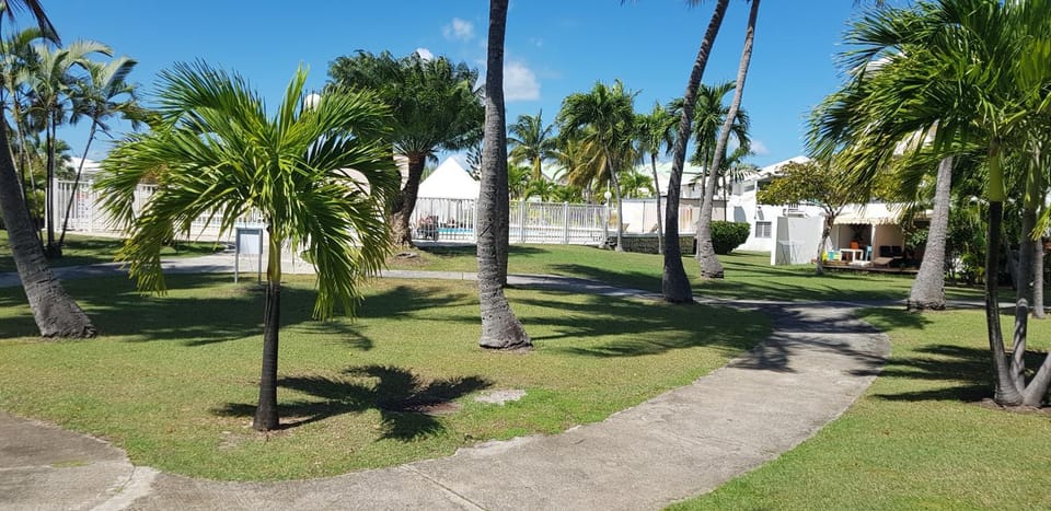 Garden view