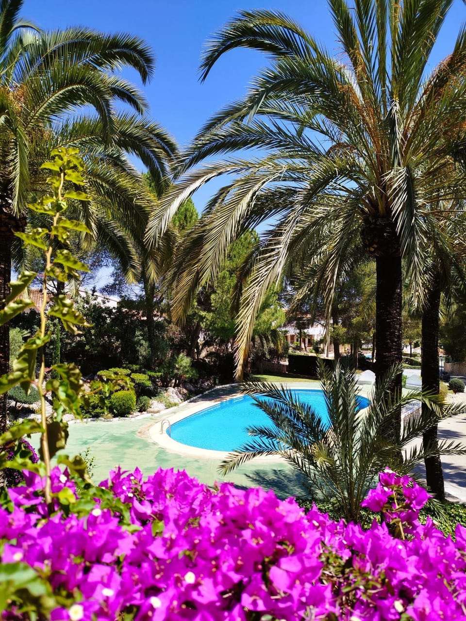 Swimming pool