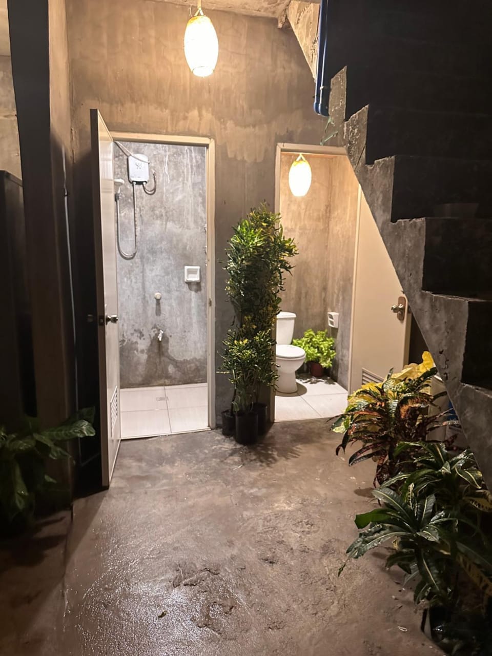Lionfish Backpackers hostel Hostel in Central Visayas