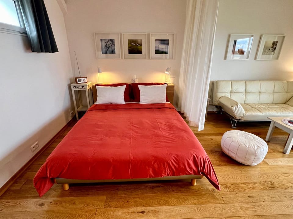 Bed, Living room, Photo of the whole room, Bedroom
