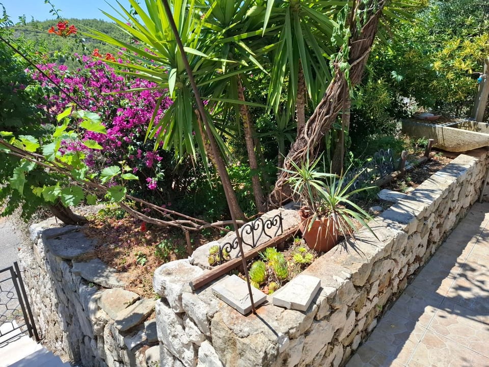 Holiday house Bore House in Dubrovnik-Neretva County