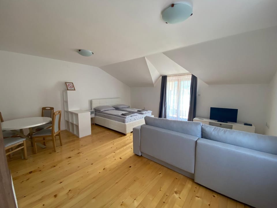 MR Apartmani Banja Vrujci Apartment in Serbia