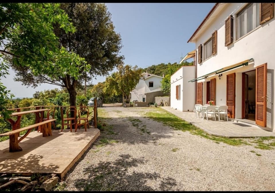 Property building, Garden view
