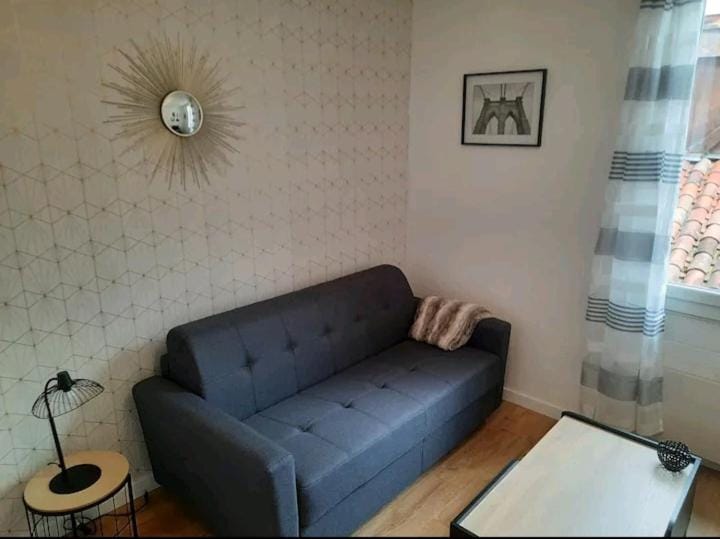 Le Black and White cosy studio Toulouse centre Apartment in Toulouse
