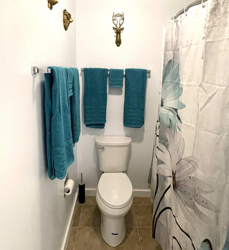Deluxe Mountain Fox Suite Jiminy Peak - Ski On Off - Fully Redone Decor Apartment in Lanesborough