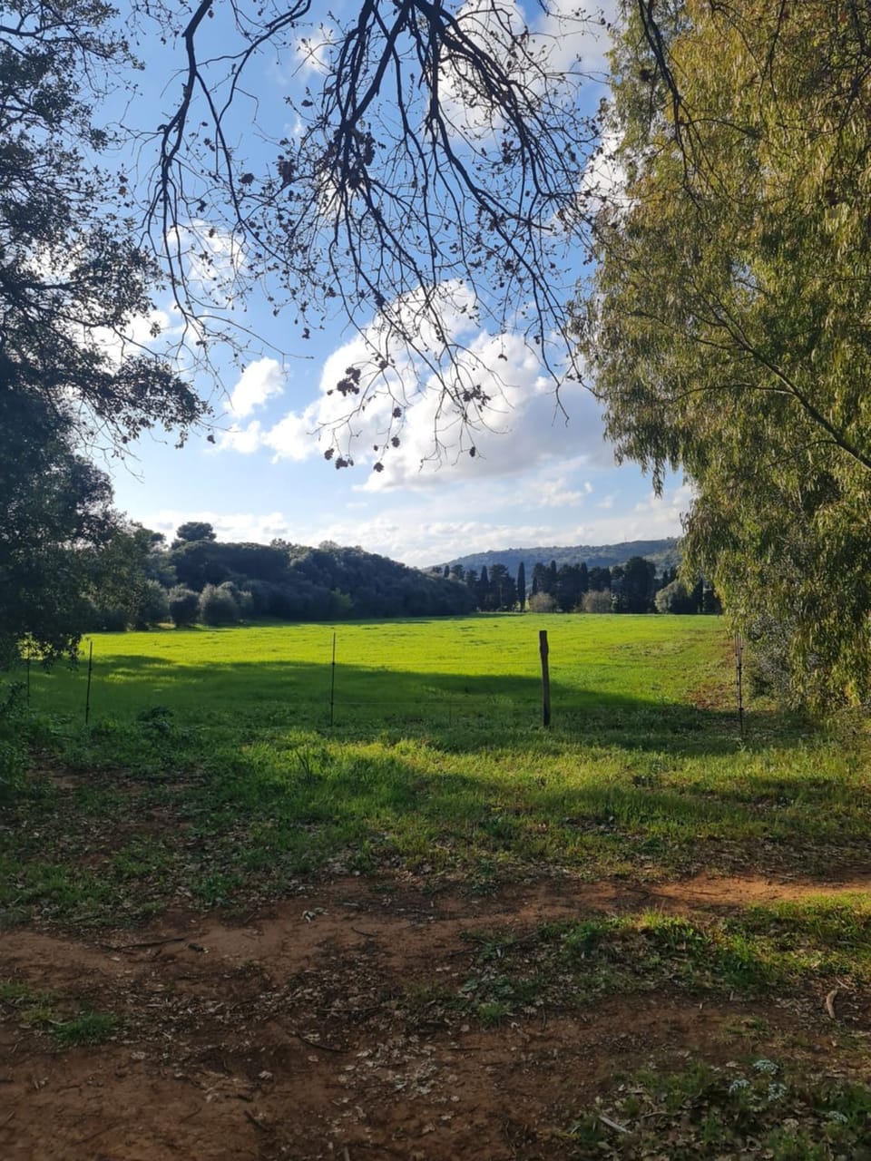 Natural landscape