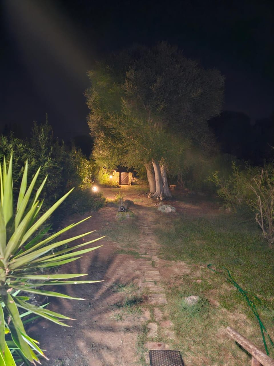 Garden, Garden, Garden view