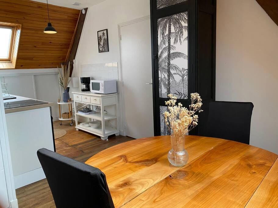 Charmant appartement entre Saint-Malo et le Mont-Saint-Michel Apartment in Brittany