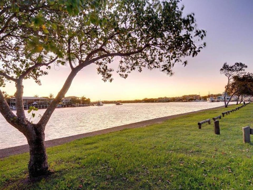 Natural landscape, Garden, River view, Sunset