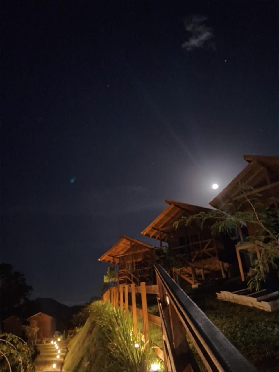 Night, Garden, Garden view