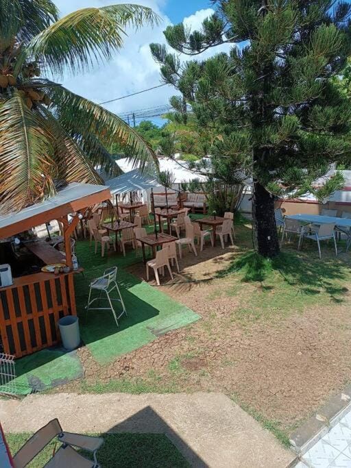 Garden, Lounge or bar, Garden view