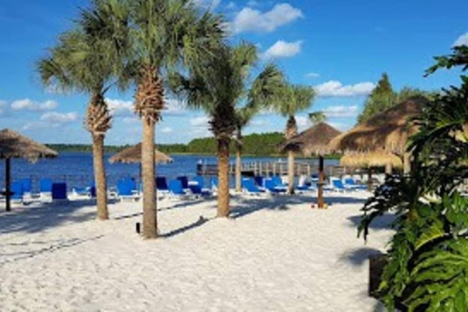 Natural landscape, Beach, Lake view, sunbed