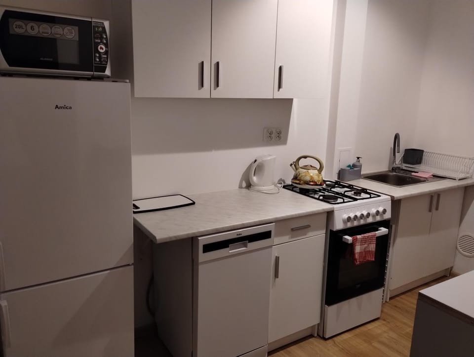 dishwasher, minibar, kitchen