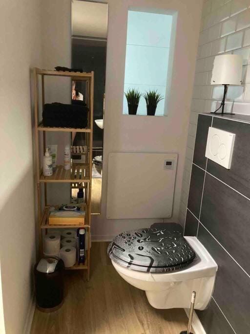 26 qm Souterrain Ferienappartement nahe Köln Apartment in Cologne