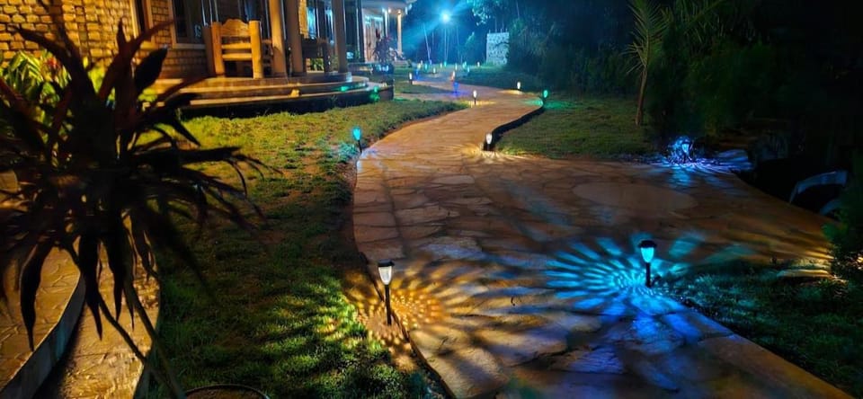 Night, Garden, Garden view