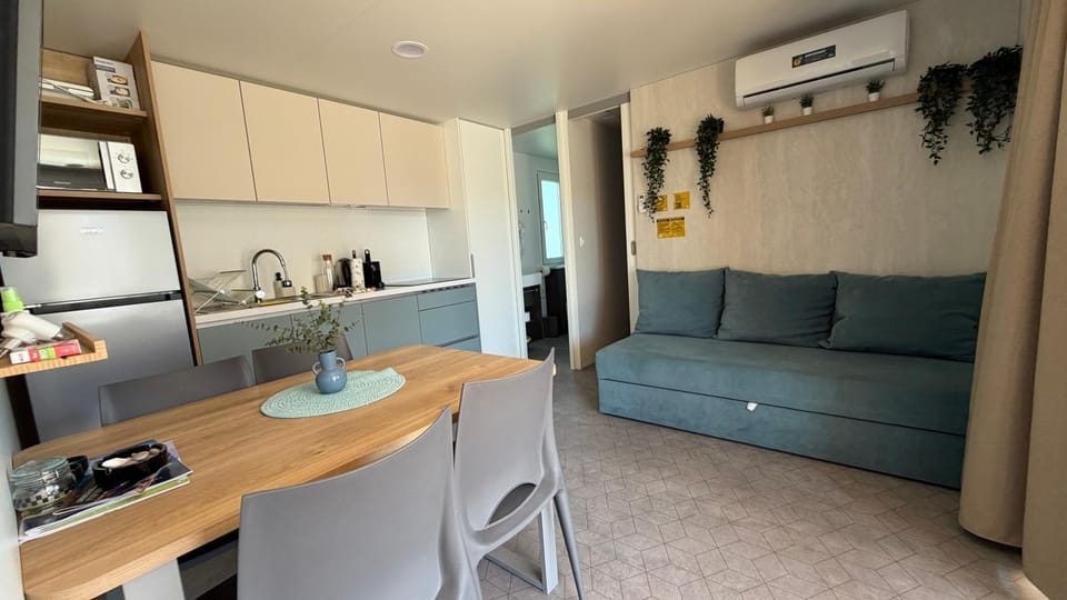 Living room, Dining area, kitchen, air conditioner