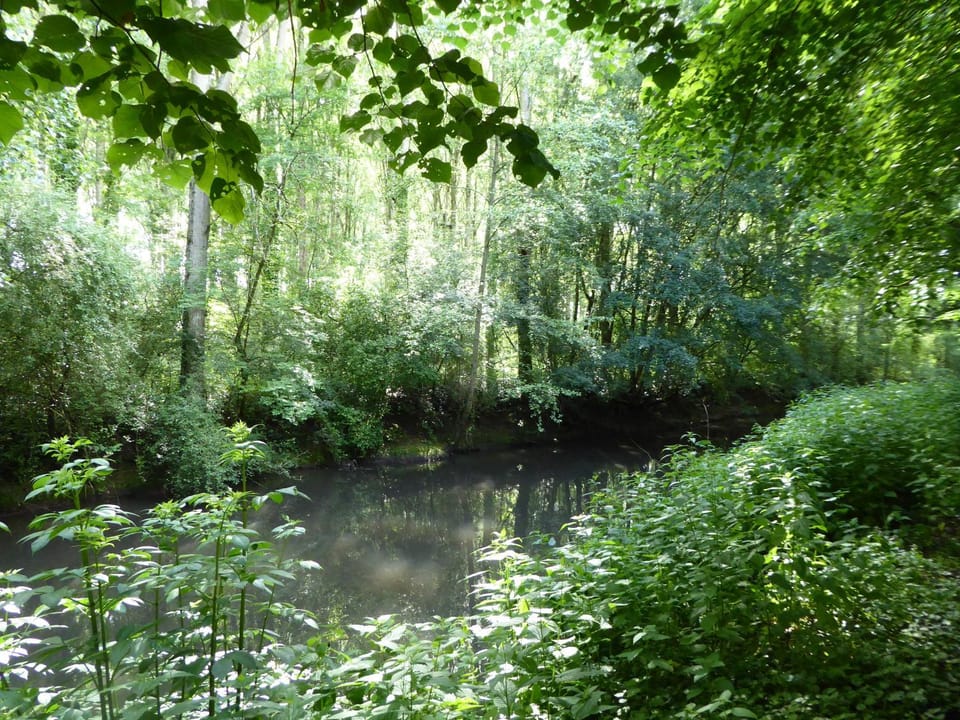 Natural landscape, Garden, Garden