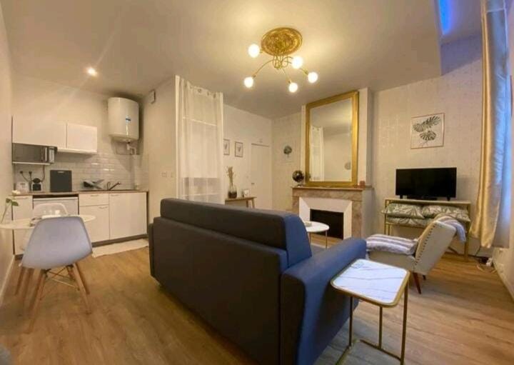 Le Golden magnifique studio Toulouse centre Apartment in Toulouse