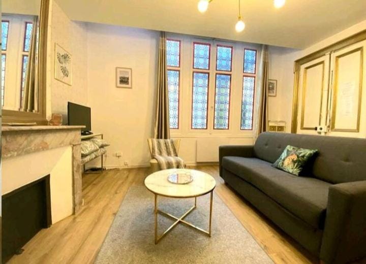 Le Golden magnifique studio Toulouse centre Apartment in Toulouse