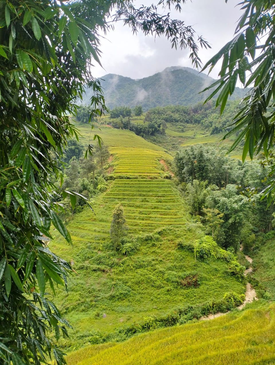 Natural landscape