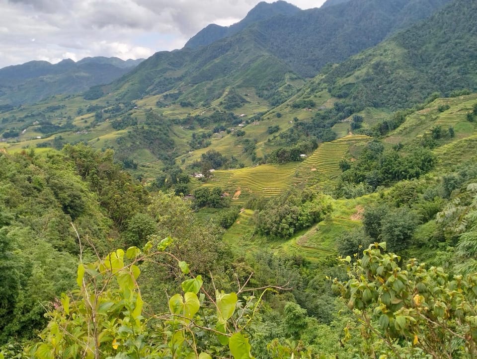 Natural landscape