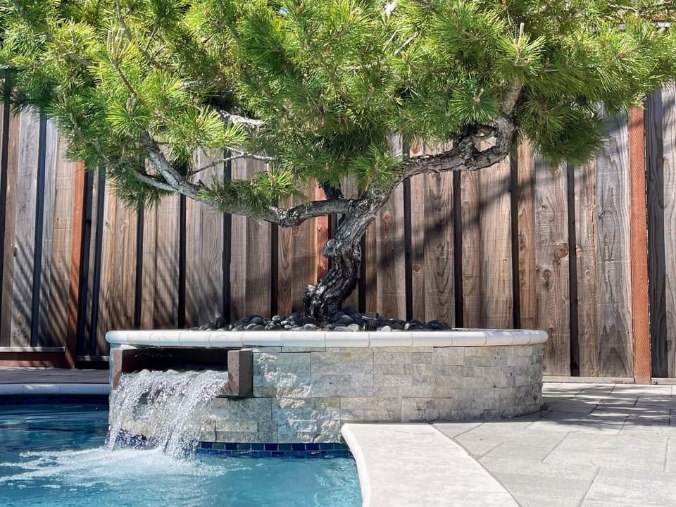 Pool view, Swimming pool, Swimming pool