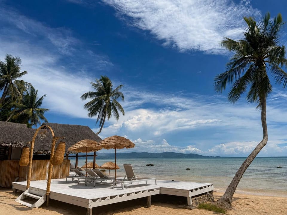 Day, Natural landscape, View (from property/room), Beach, Sea view, sunbed