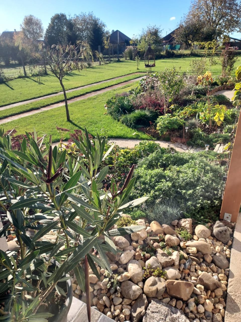 Garden view