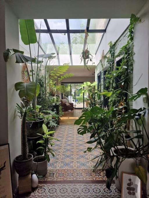 Maison de Caractère 8 pers - Jardin - Villa in Lille