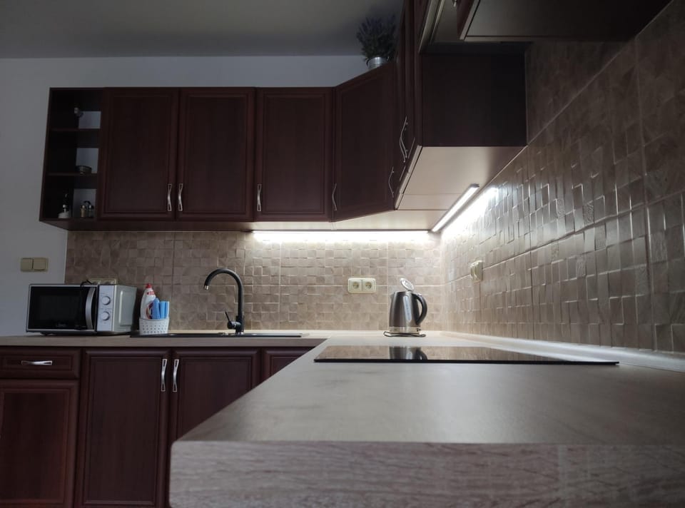 Kitchen or kitchenette, minibar, stove
