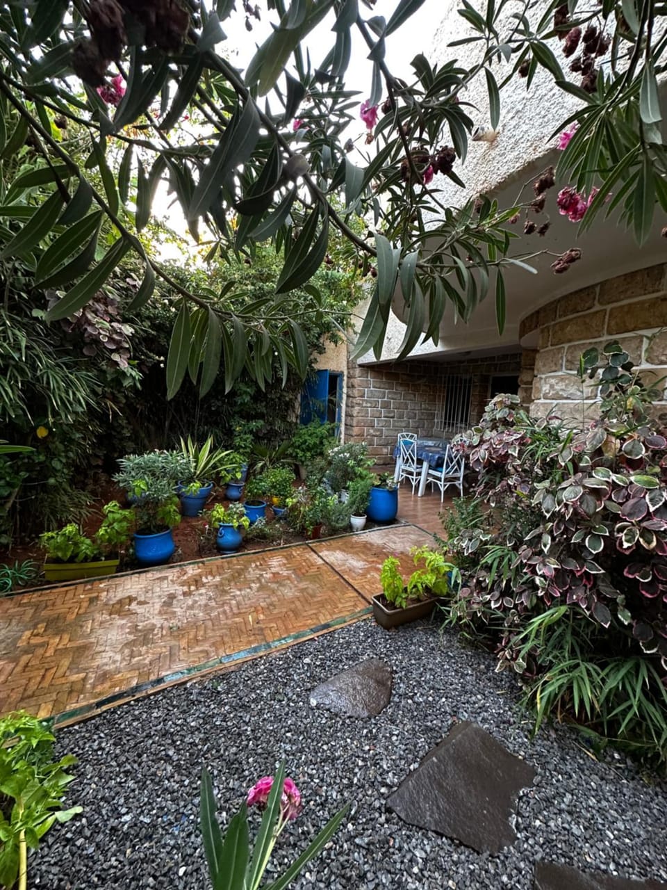 Patio, Garden, Garden view