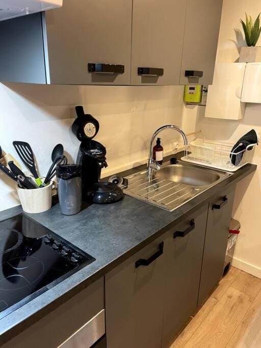 VILLA GABY ~ Jardinet ~ hyper-centre Apartment in Pau