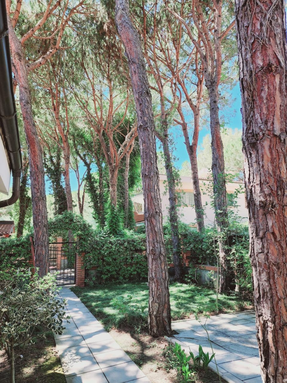 Spring, Natural landscape, Garden, Garden view