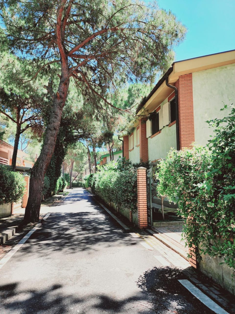 Property building, Spring, Neighbourhood, Natural landscape, Street view