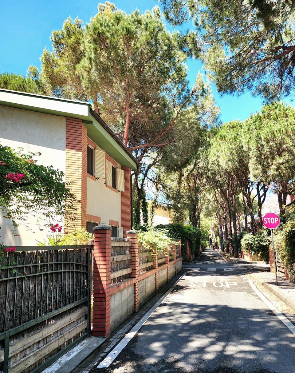 Property building, Spring, Day, Neighbourhood, Garden, Garden view, Street view