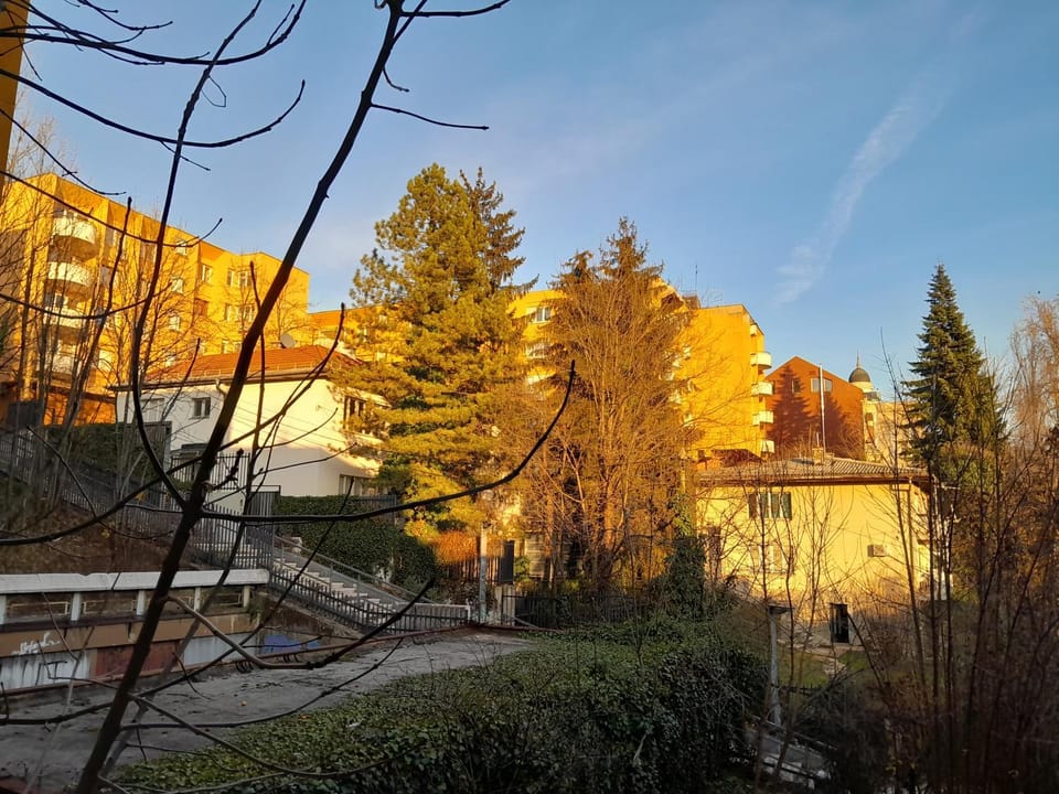 View (from property/room)