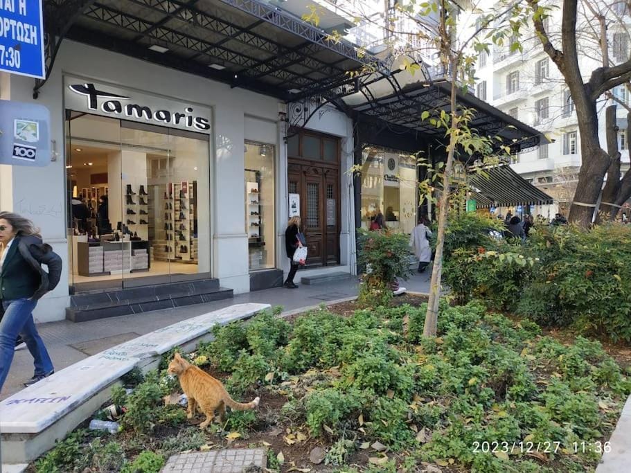 Artemis Luxury Suite in Iktinou Pedestrian & Mitropolitou Iossif area Apartment in Thessaloniki