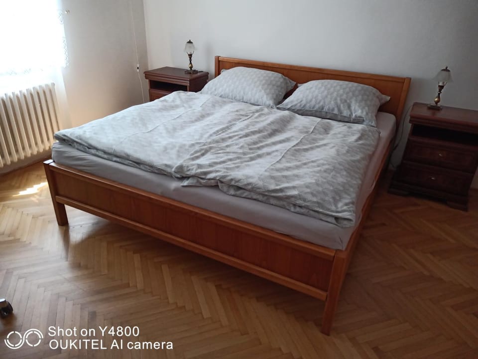 Byt - apartmán - Robotnícka Apartment in Bratislava
