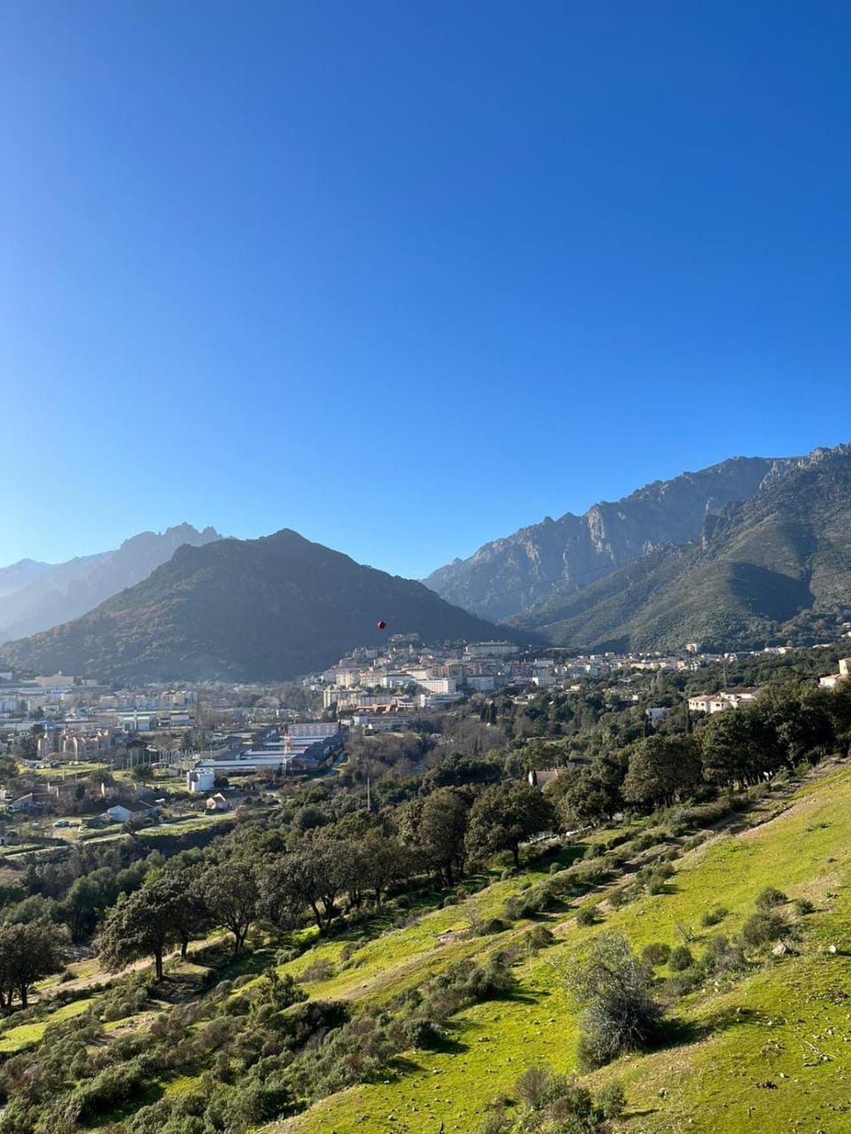 T1 de standing avec vue Apartment in Corsica