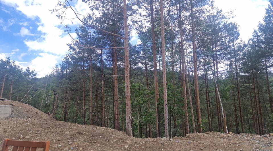 Leona B-1 apartman Živojinović Apartment in Zlatibor District, Serbia