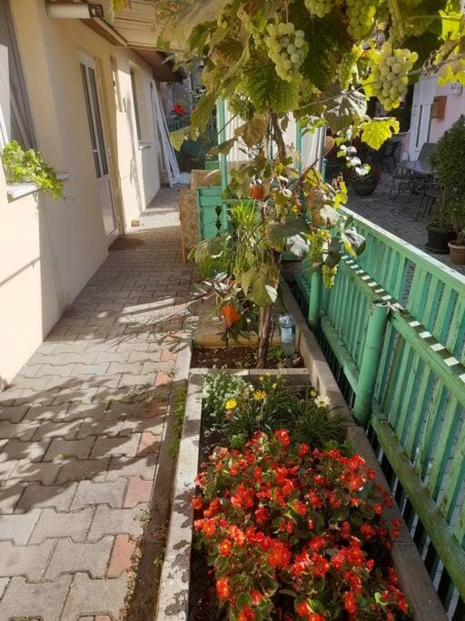 Emese Central Square Vintage Apartment Apartment in Romania